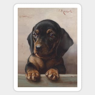 Young Dachshund by Carl Reichert Magnet